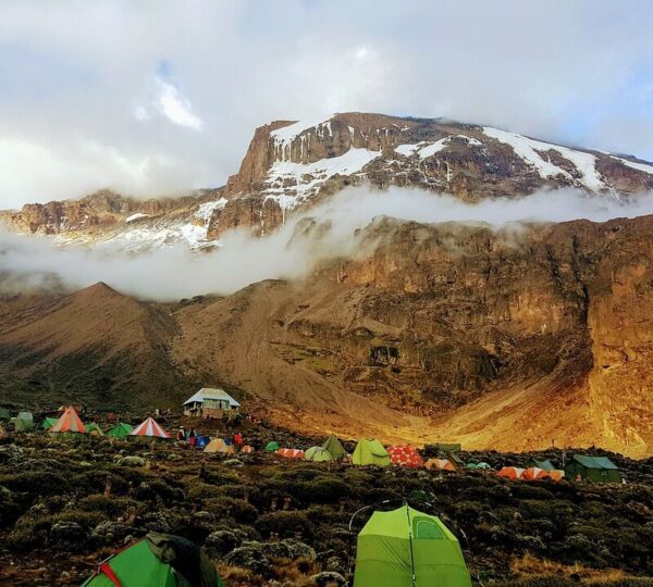 Kilimanjaro Trails