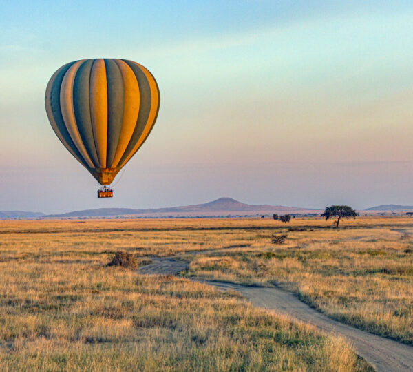 Sunset Safaris