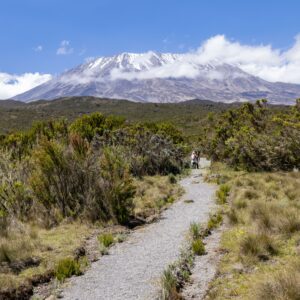 Kilimanjaro – AML Travel and Tours